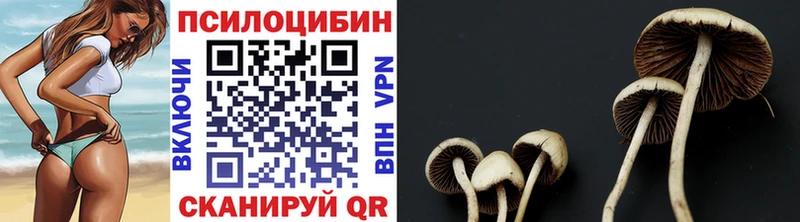 Псилоцибиновые грибы MAGIC MUSHROOMS  Купить закладки  Боготол 