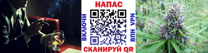 Купить  Боготол  Конопля гибрид 